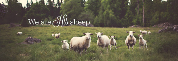 We are His Sheep